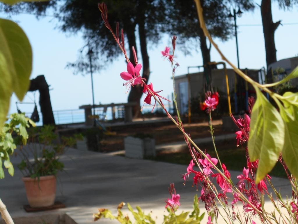 Brunello Seaside Apartments Lefkáda Buitenkant foto